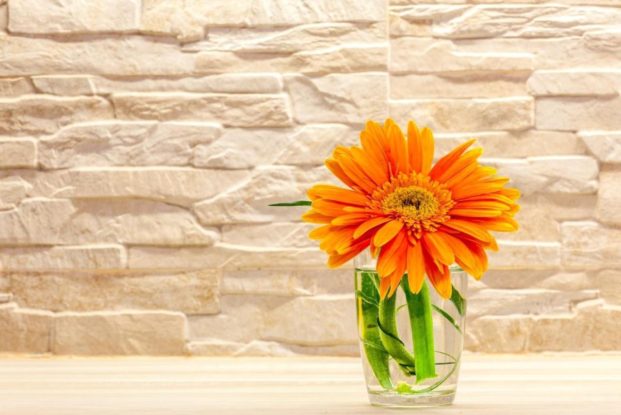 Classy Apartment In The Center Of Split Luaran gambar